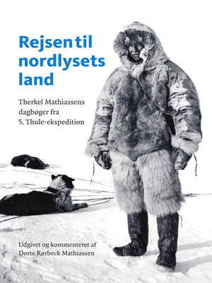 cover image of Rejsen til nordlysets land